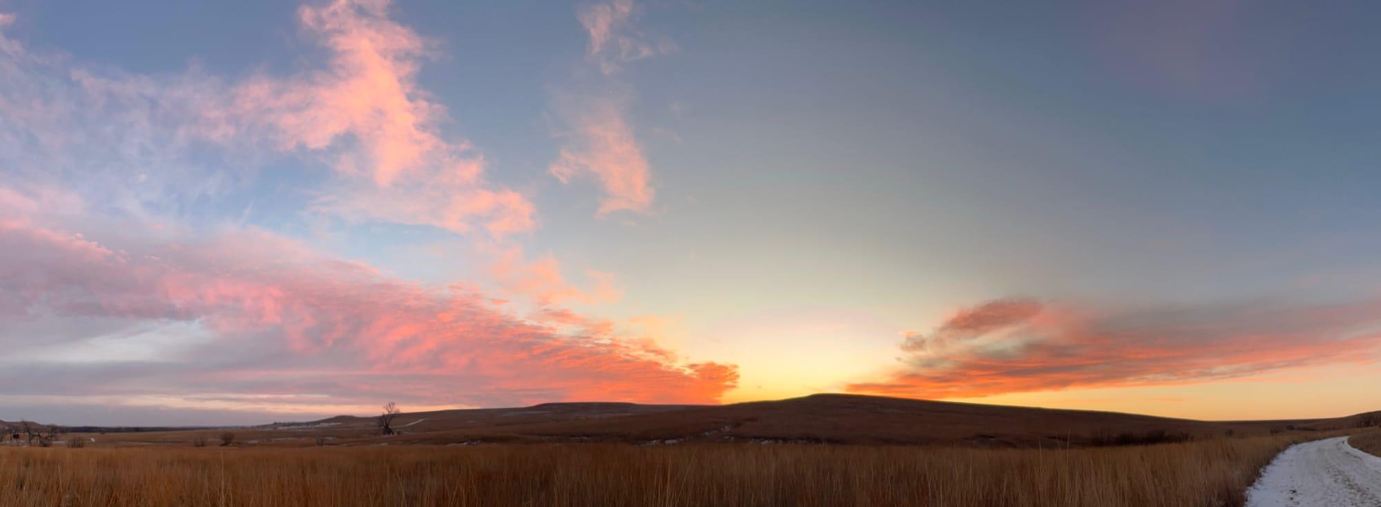 Revolution from the Inside Out